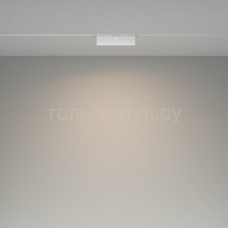 Трековый светильник Basis Exility TR036-2-12W4K-W