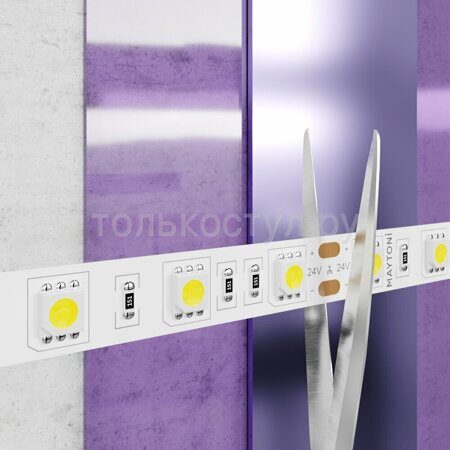 Светодиодная лента 24 В 10169